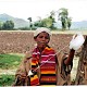 Zwijająca wełnianą nić, Etiopia